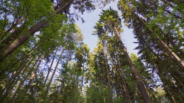 Inspiring  Uplifting Background Music For Fun And Happy Videos