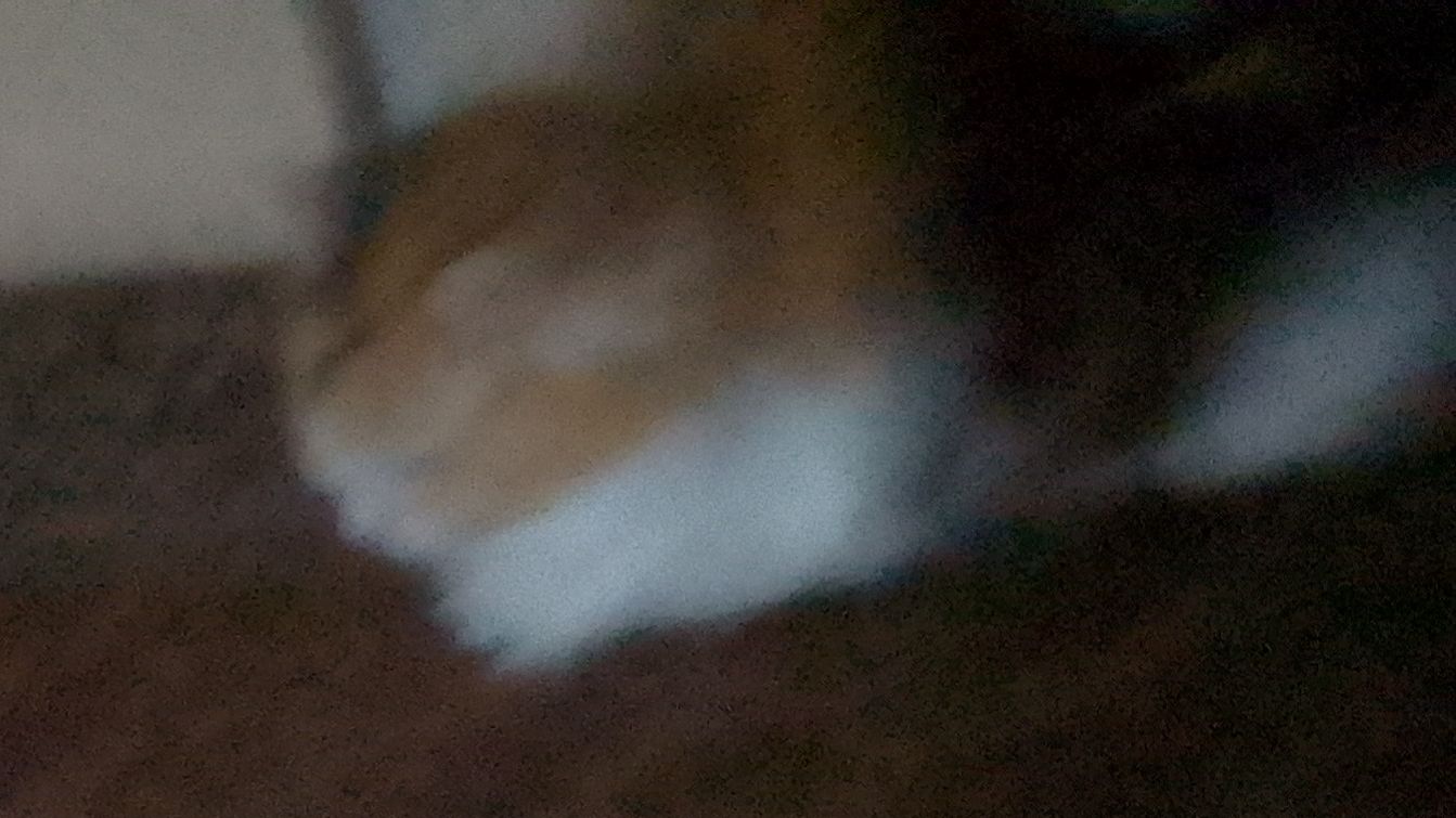 Знакомство с моим другом