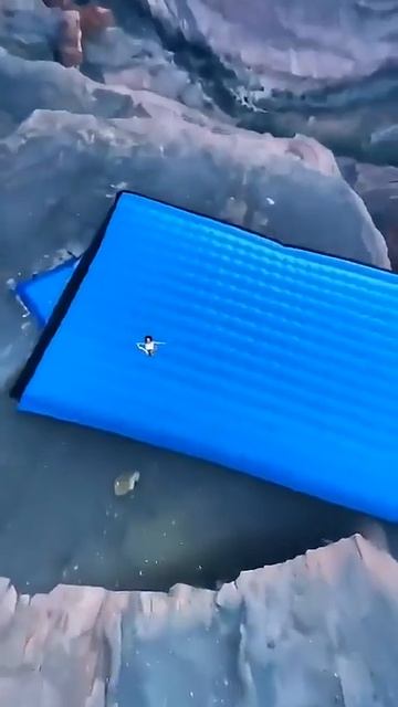 Селедка в полете.

юмор приколы