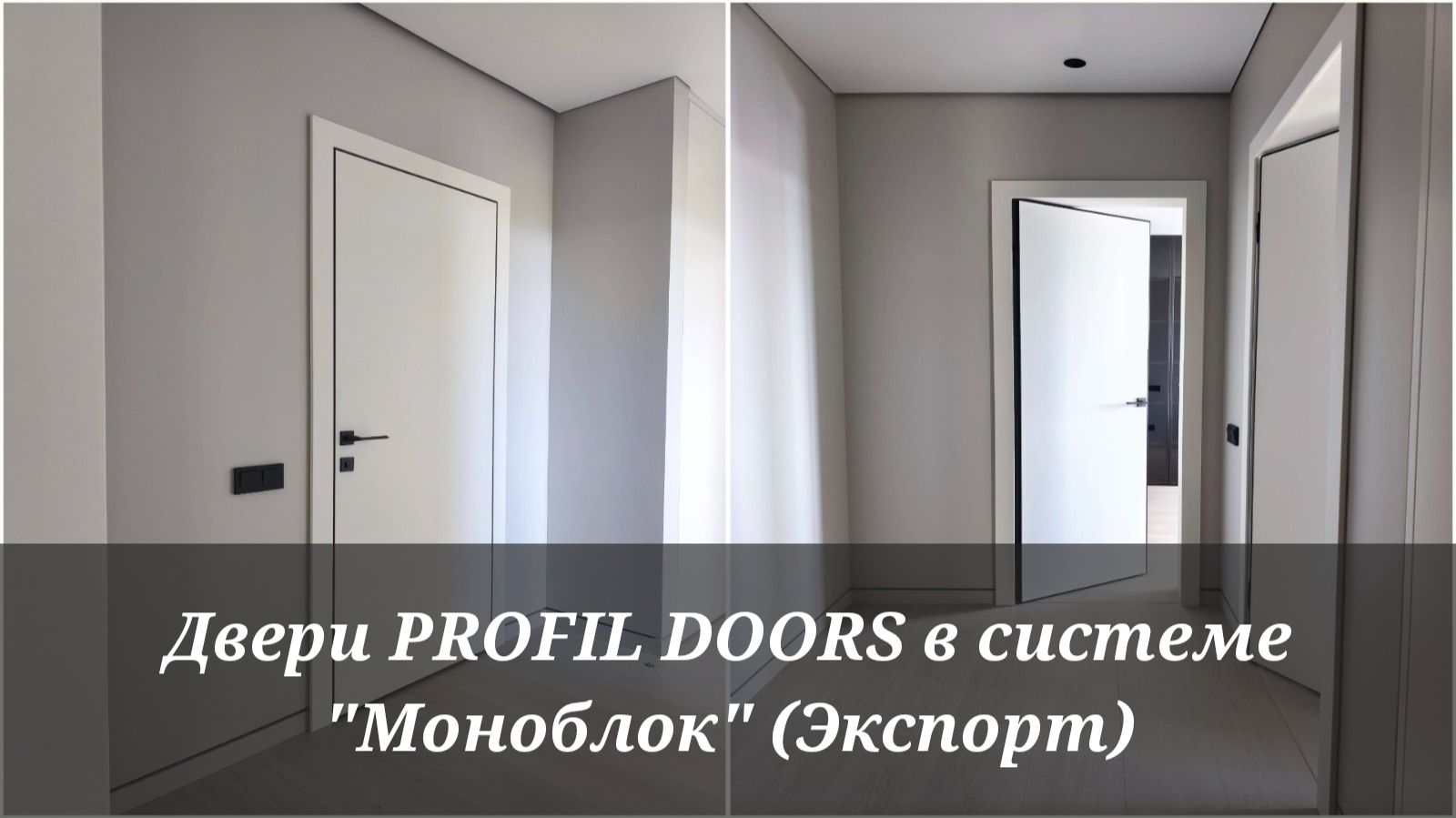 Двери PROFIL DOORS в коробках Моноблок Экспорт
