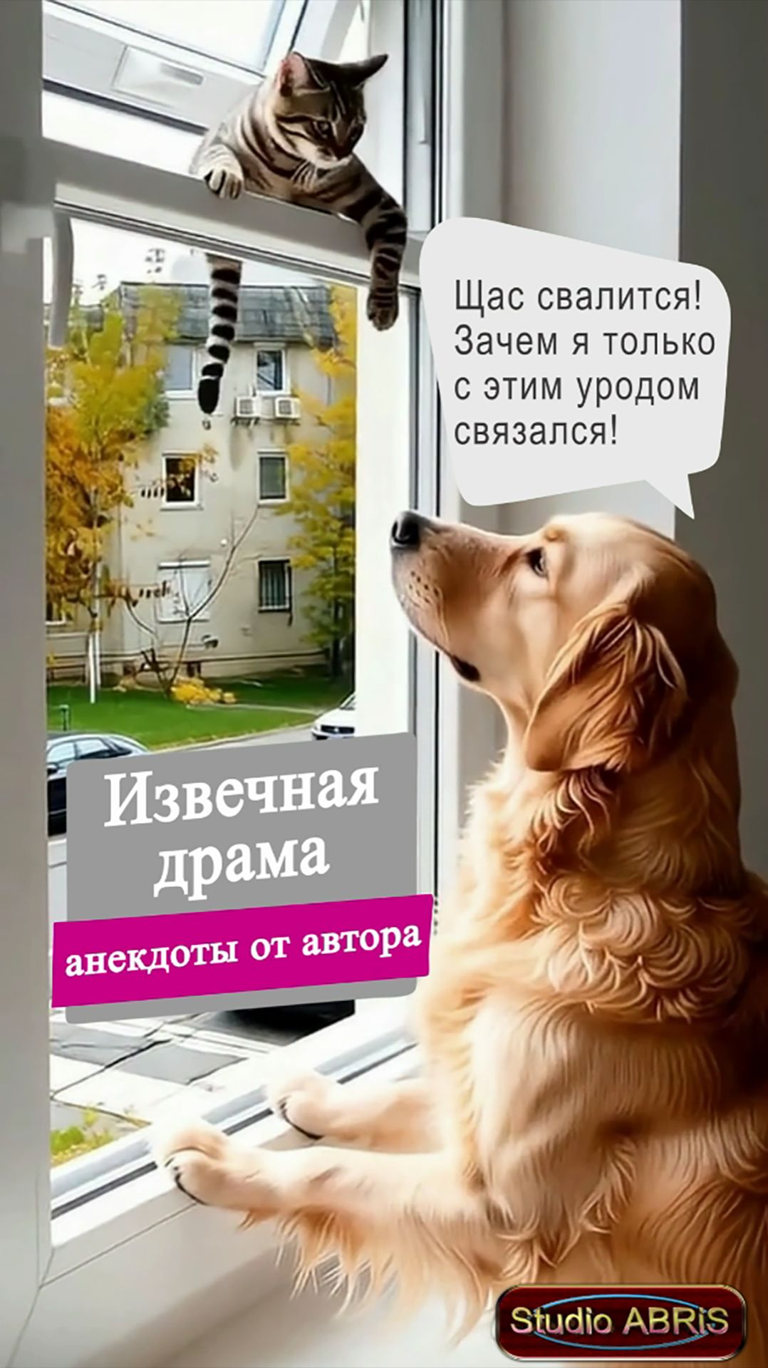 ИЗВЕЧНАЯ ДРАМА  анекдоты от автора