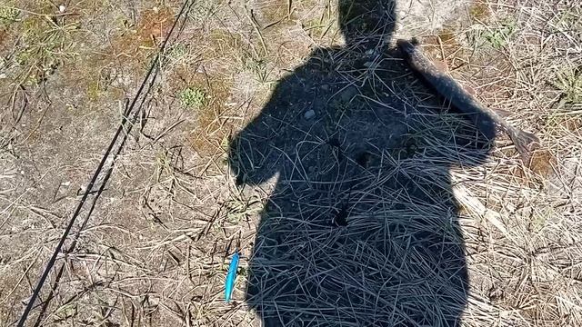 Первая щука сезона 2026