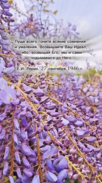 Е.И.Рерих. Возвышайте Ваш Идеал