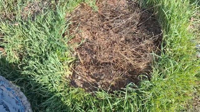 обзор одной из самых первых моих работ с комментариями