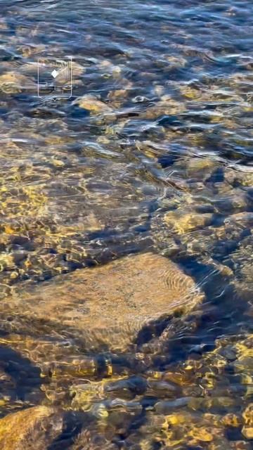  Пусть этот день подарит вам  тепло радость и тихое счастье в каждом мгновении!