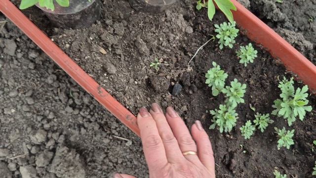 ПО ДРУГОМУ БЫЛО БЫ СКУЧНО 