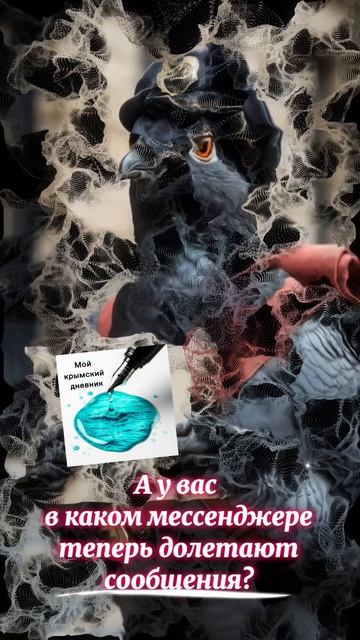 А у вас теперь куда долетают сообщения? нетсвязи цифровойдетокс яхочусказатьсмс