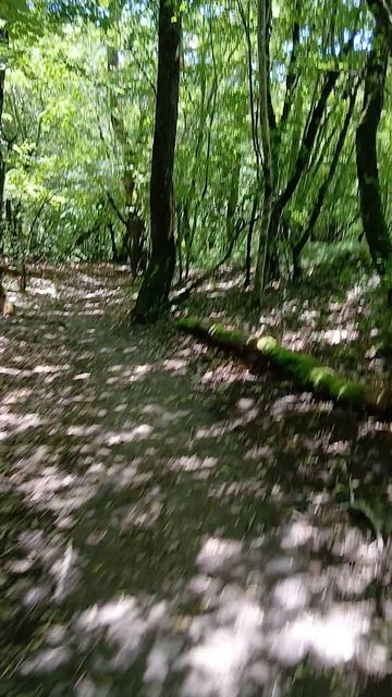 Полезная прогулка по тропе здоровья терринкур на горе Медведь в Архипо-Осиповке