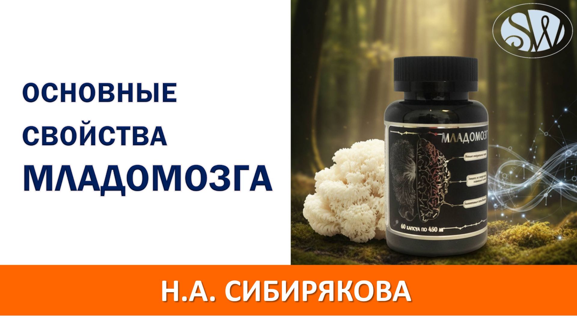 Все основные свойства Младомозга