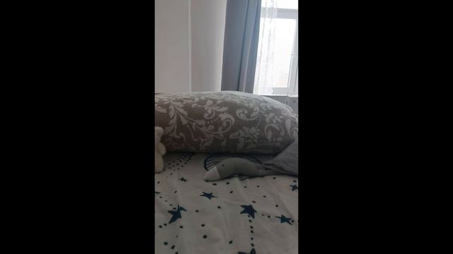 найди монстрикса! часть 2