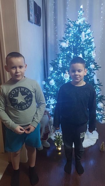 В лесу родились ёлочка