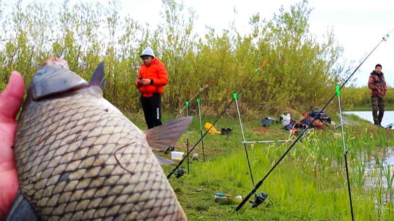 ПОТЯГАЛИ КАРПА на ДОНКИ КРУГОМ УДОЧКИ ЗАКИНУТЬ НЕКУДА! На что ЛОВИТСЯ КАРП