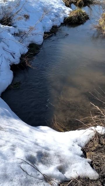 Весна в поле