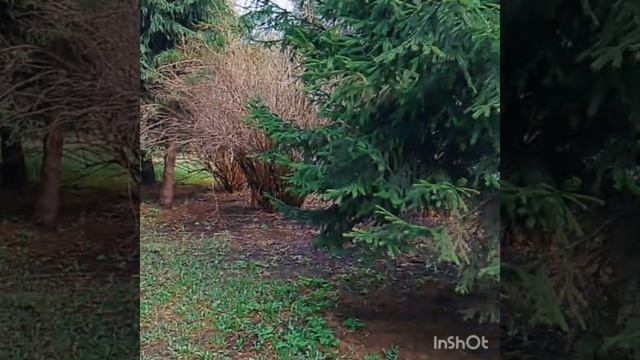 Глазная клиникахроника одного дня