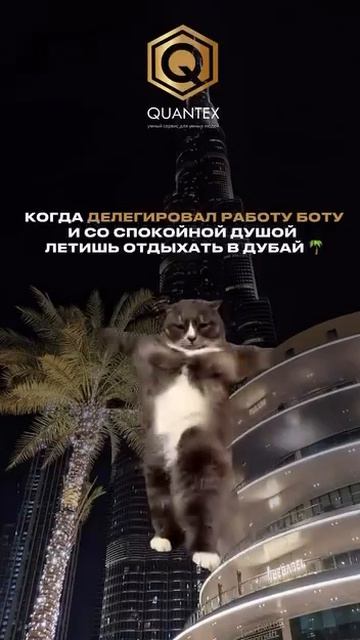 Ну а что! Наши пользователи могут себе такое позволить. 