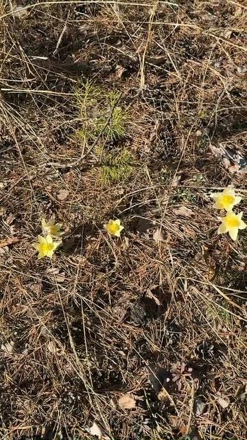 Почему человек одинок