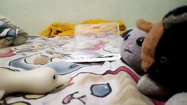 Раненный Летусь