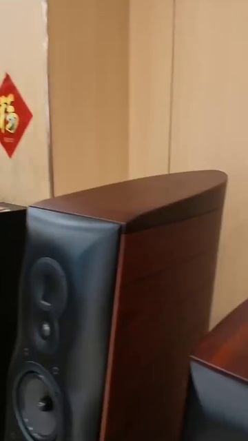 Как в Китае продают местную акустику Swan?