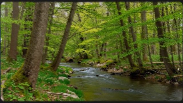 Я в весеннем лесу пил березовый сок