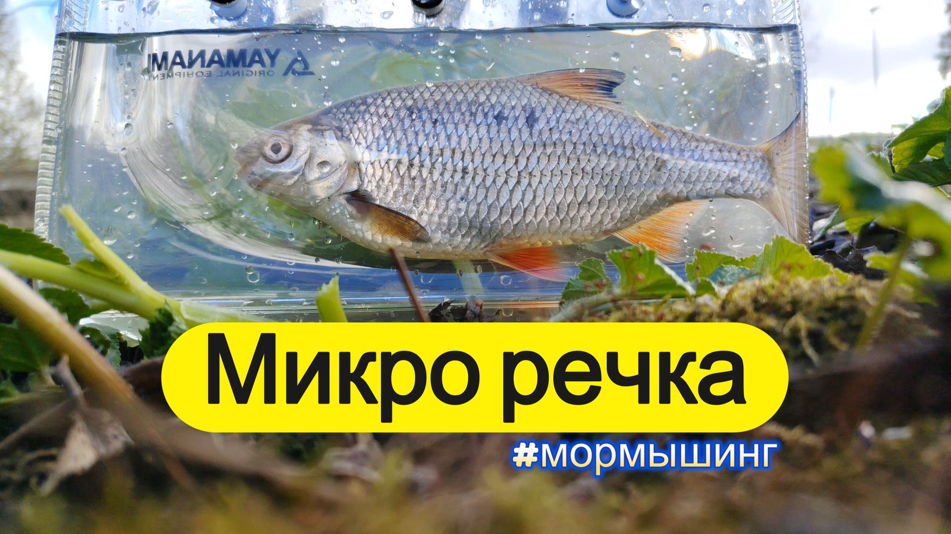 мормышинг  Микро речка  Плотва в корягах 