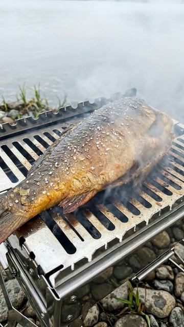 Карп который хочется снять с жара раньше