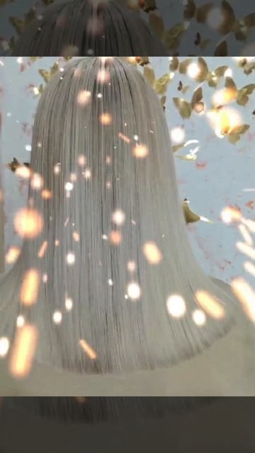 VID_20260425_115437_811.mp4