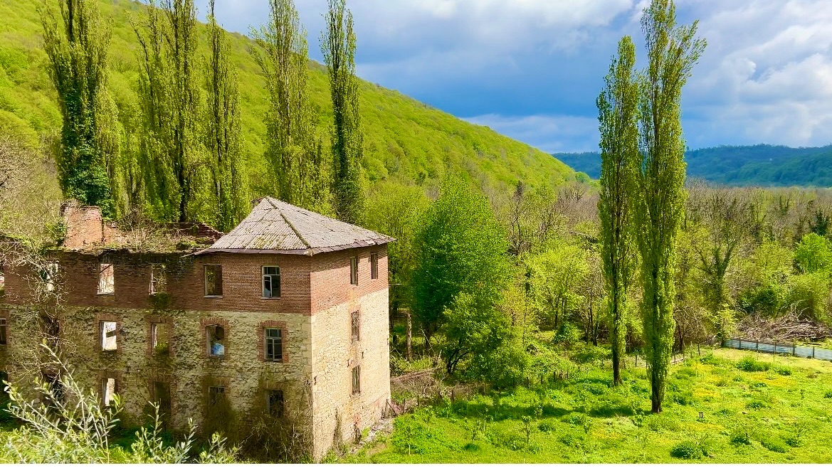 АБХАЗИЯ Утро Сухуми.Завтрак в отеле Диоскурия.Набережная.Гия встретил с Цветами 
