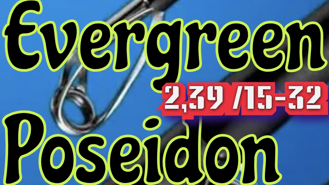 Спиннинг Evergreen