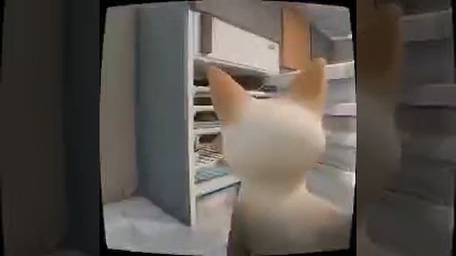 Сметана кончилась