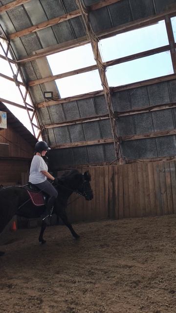 Даша и Наоми отличный подъем в галоп в углу манежа.