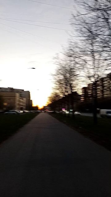 Закат Питер 24 апреля 2026.