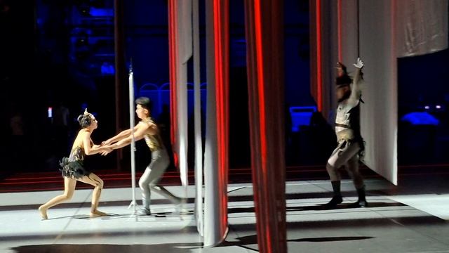 Гуанчжоуская акробатическая труппа. ЛЕБЕДЬ 7