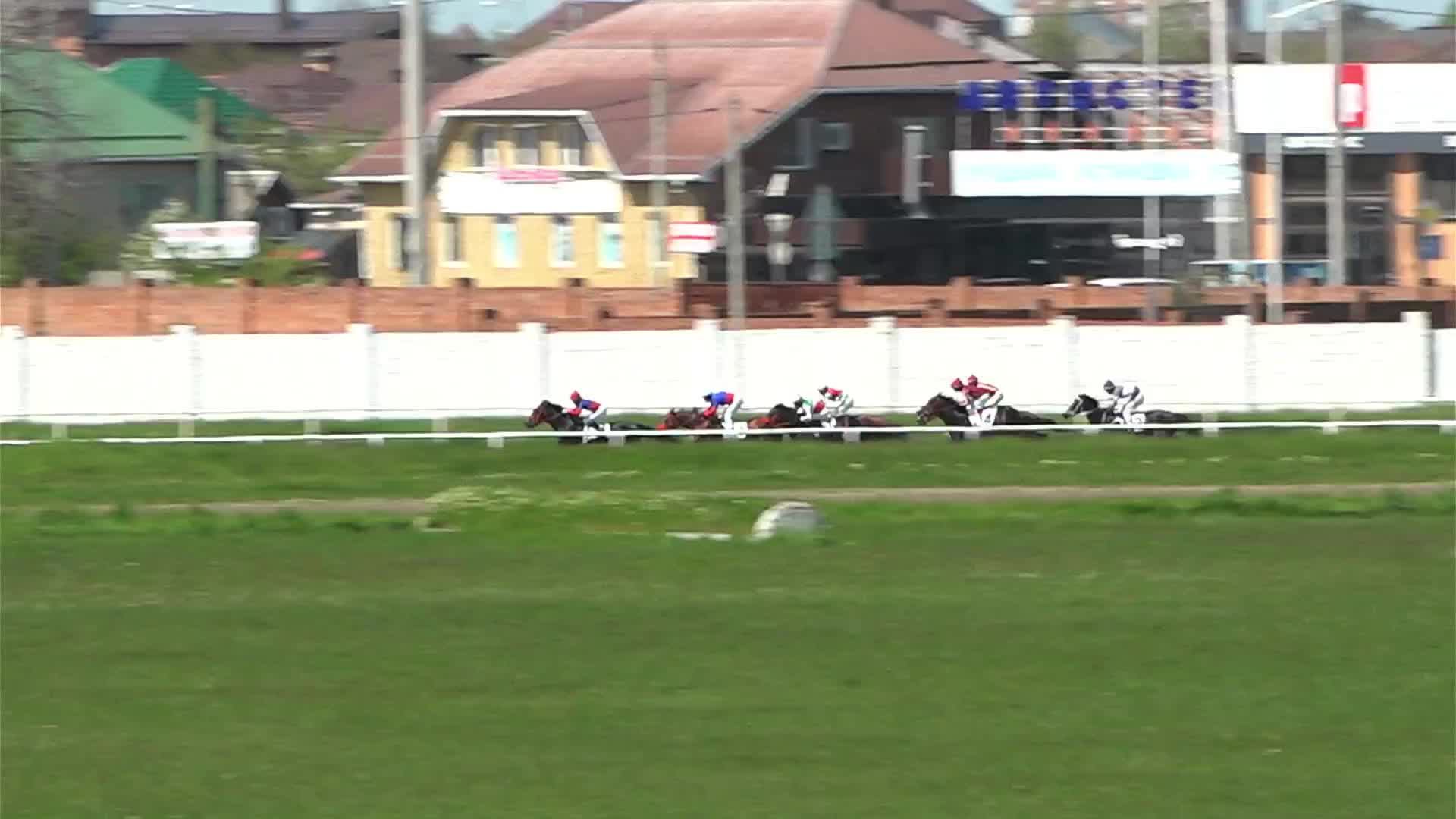 1й скаковой день 2026