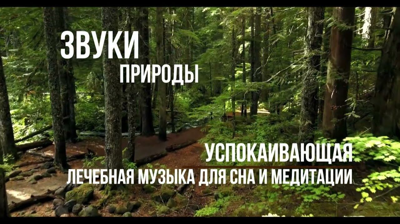 Звуки природы  Музыка для сна успокаивающая