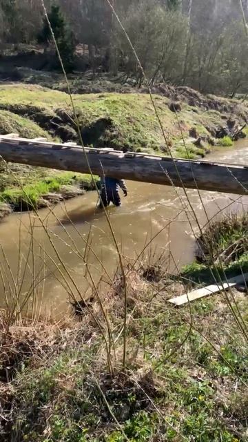 Stels квадроцикл квадроциклы мото Guepard Offroad