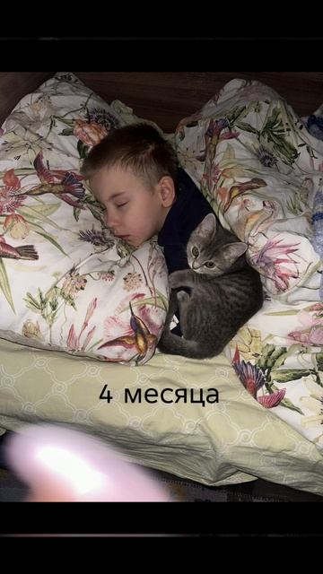 Алиса по годам