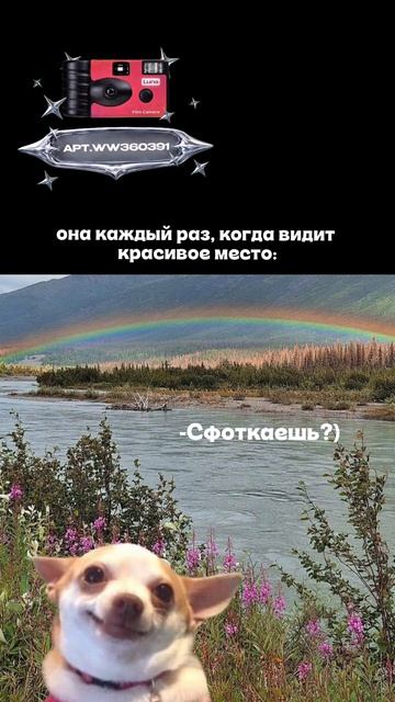 Плёночный фотоаппарат на 36 кадров Артикул WB: WW360391