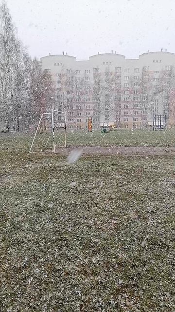 чудеса нашей природы