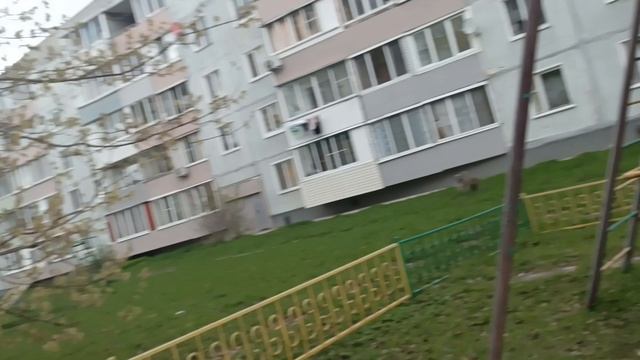 слежу за Сашей Play Game Showу