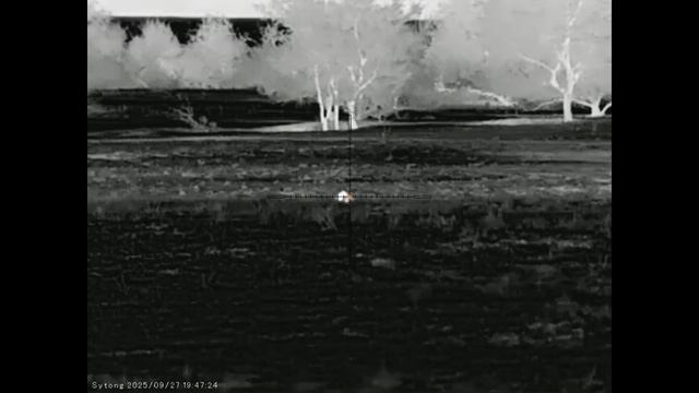 Воспоминания о сезоне прошедшем в Волгоградских степях 1 часть