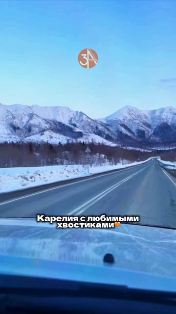 В Карелию  всей семьёй. И с хвостатыми тоже! 
