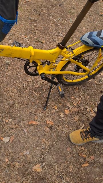 Грибной сезон открыли 23 апреля 2026 год.