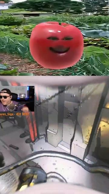 Как использовать лестницу правильно Lethalcompany Shorts Sleduck Memes Moments Vtuber