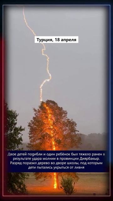 Свежие новости