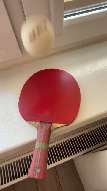 Настольный теннис.Отскок мяча