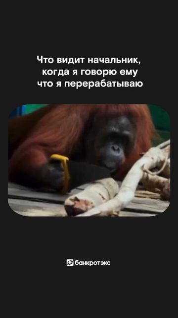 На самом деле все совсем не так