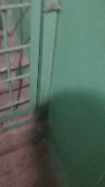 катаюсь на могилёском лифте обзор старые