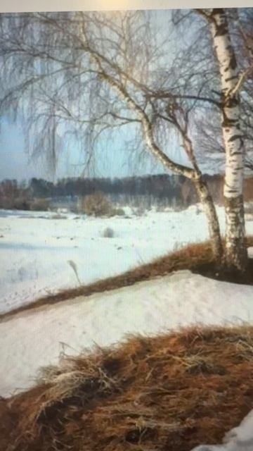 Стихотворение Проталинки. Автор -М.В.Тахистова