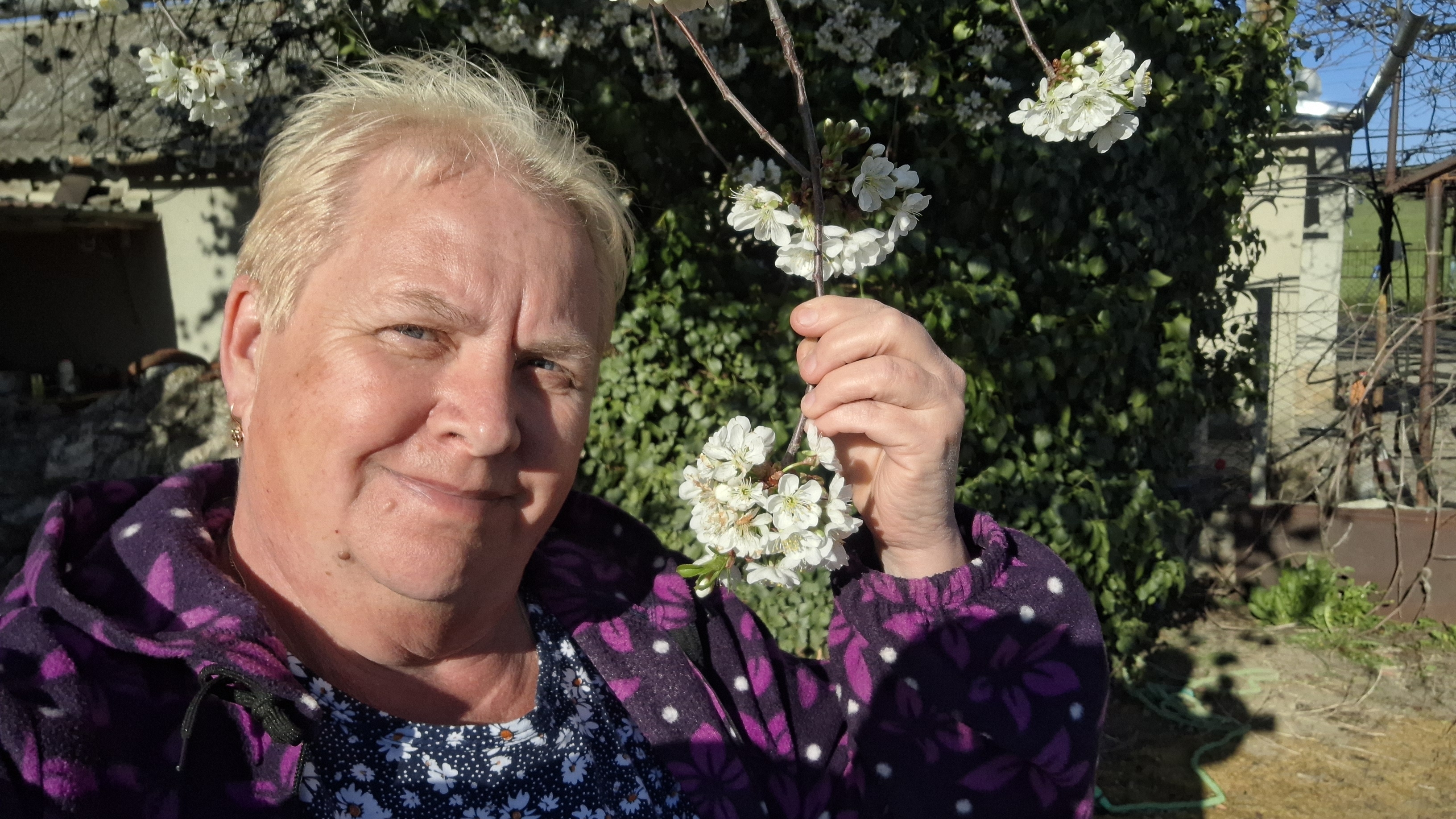 473. Привет из Крыма.  Посеяла огурцы. Все цветёт. 25.04.26.