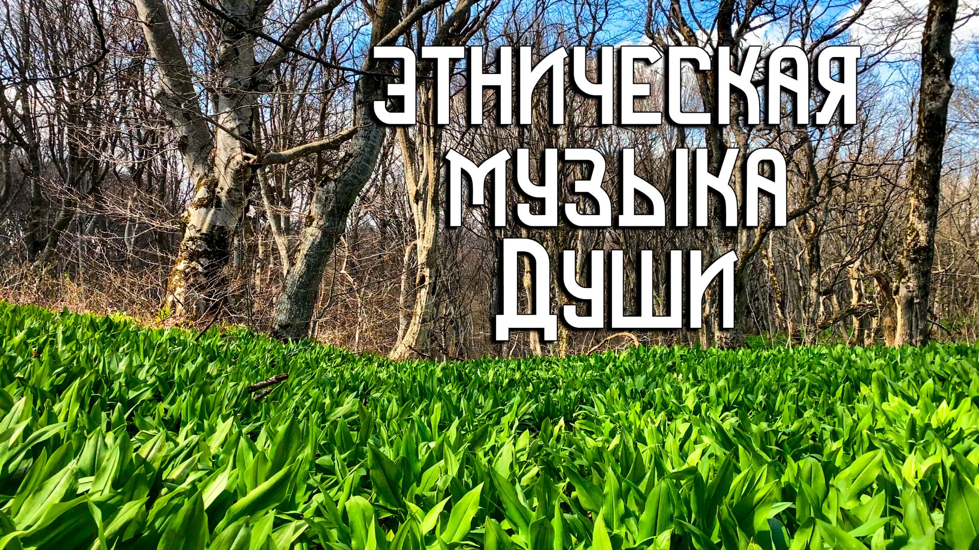 Этническая Музыка Души  Весна в Лесу  Флейта Свирель